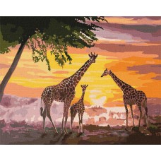 Картина по номерам - Семья жирафов